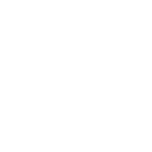 safe icon