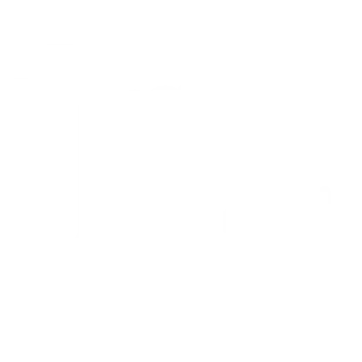strong icon